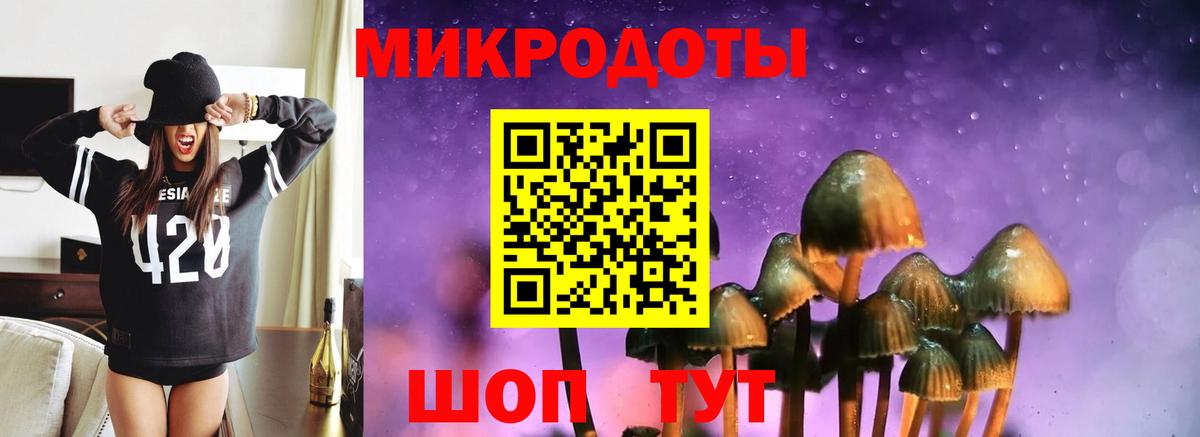 Городец  Галлюциногенные грибы Magic Shrooms  Вход с VPN 